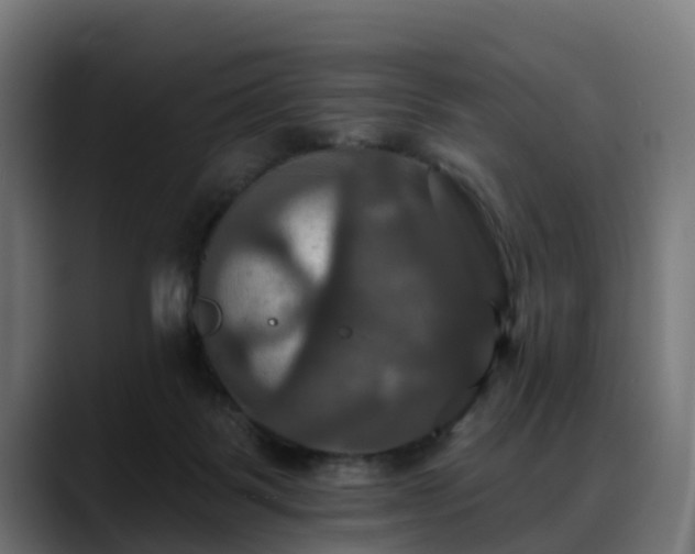 X0000088470123200705291556