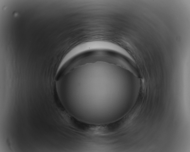 X0000088470125200705291556