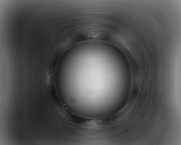 X0000088470126200705291556