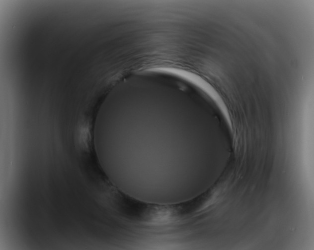 X0000088470127200705291556