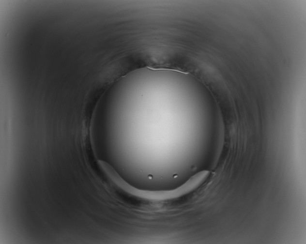 X0000088470129200705291556