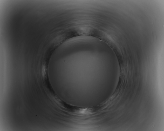 X0000088470130200705291556