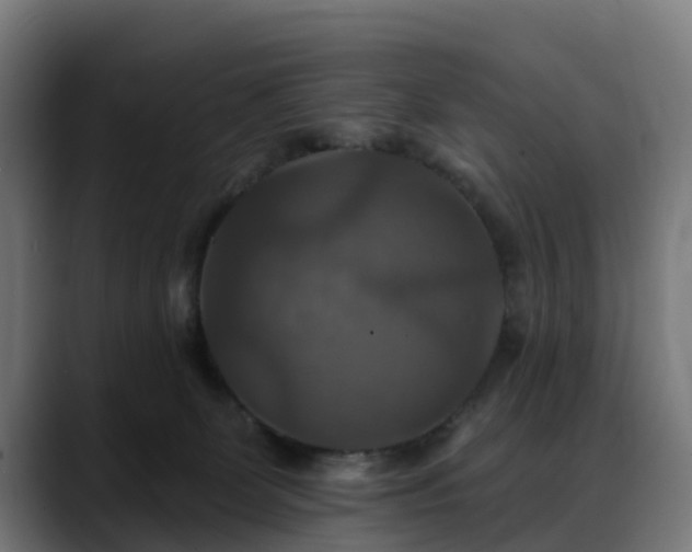 X0000088470131200705291556