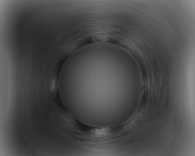 X0000088470134200705291556