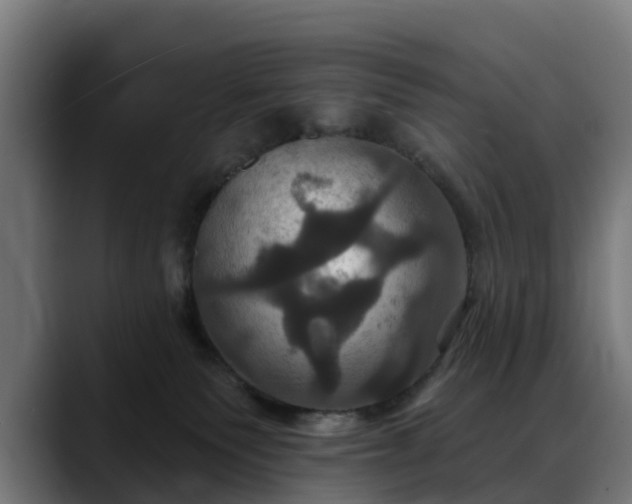 X0000088470135200705291556