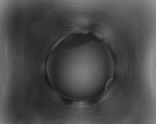 X0000088470139200705291556