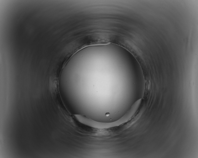 X0000088470141200705291556