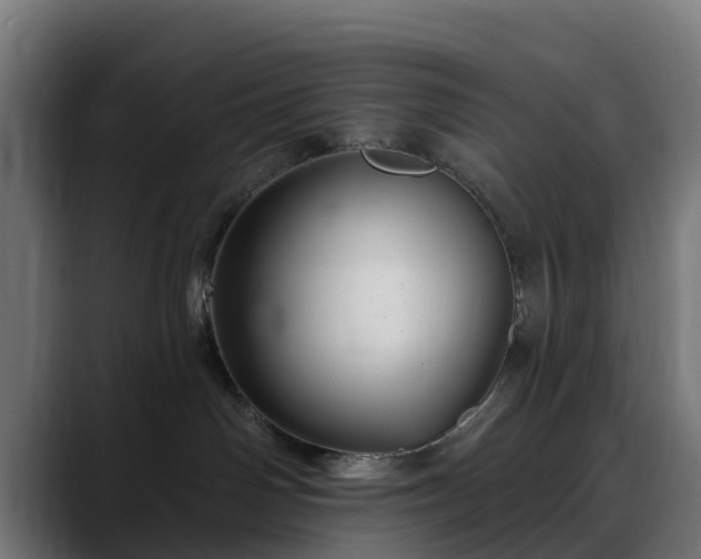 X0000088470142200705291556