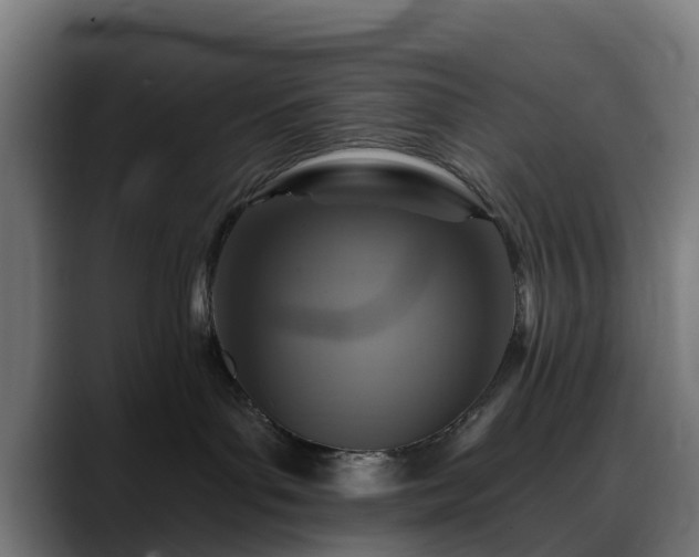 X0000088470143200705291556