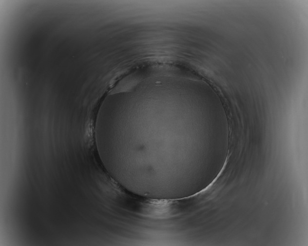 X0000088470144200705291556