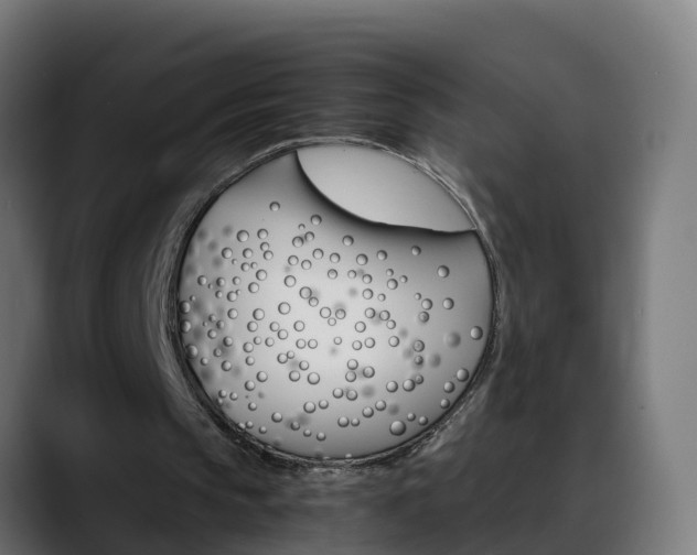 X0000088470145200705291555