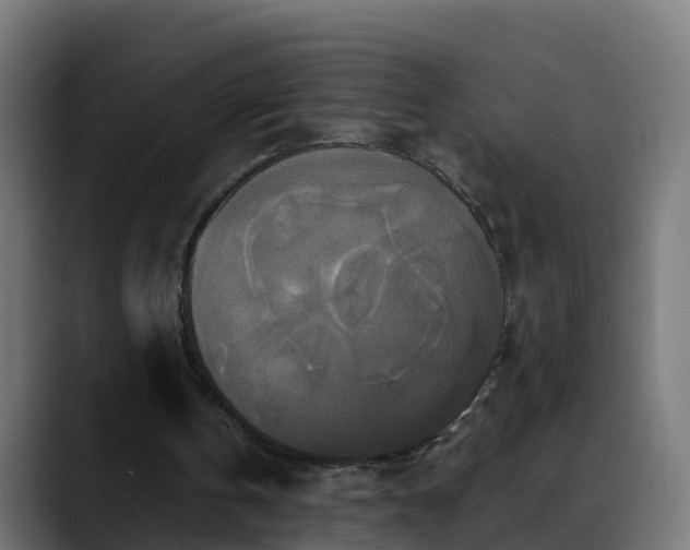 X0000088470146200705291555