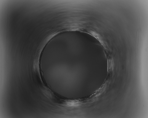 X0000088470147200705291555