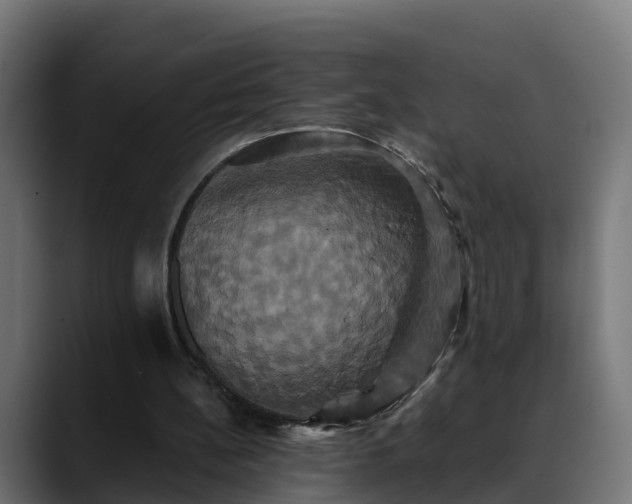 X0000088470148200705291555