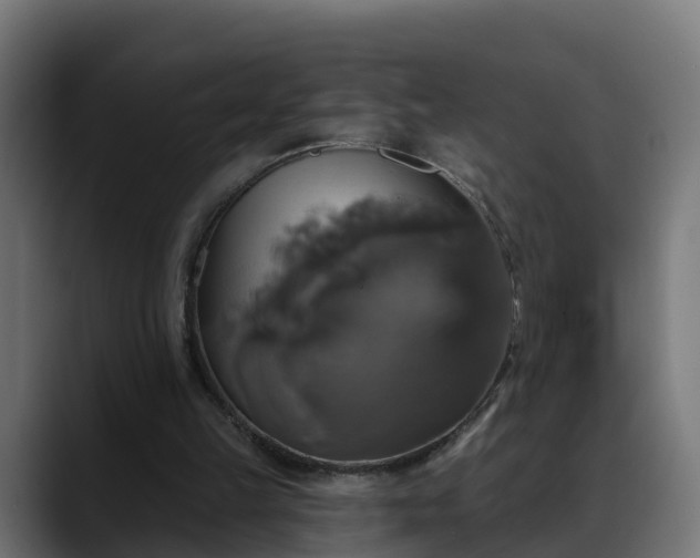 X0000088470149200705291555