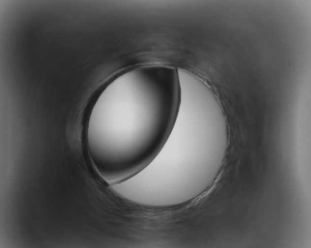 X0000088470150200705291555