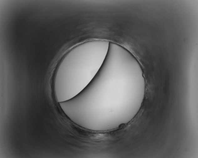 X0000088470151200705291555