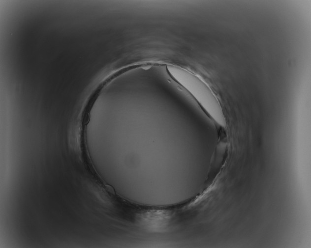 X0000088470152200705291555