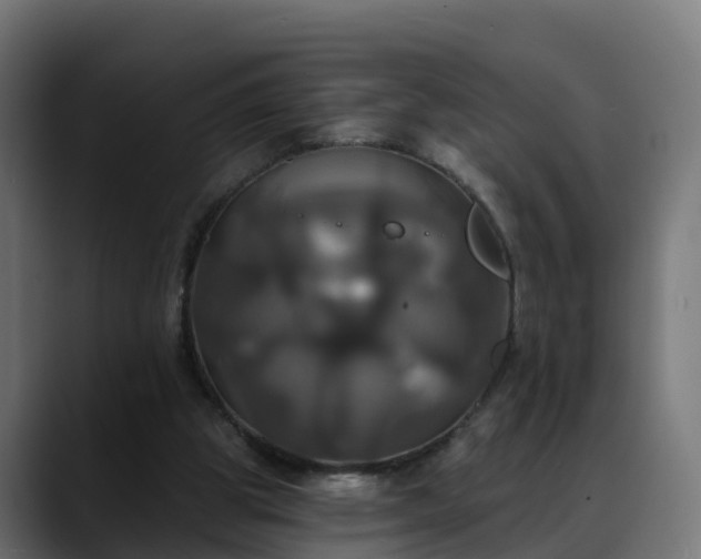 X0000088470153200705291555