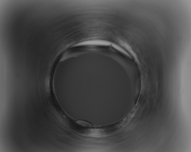 X0000088470154200705291555