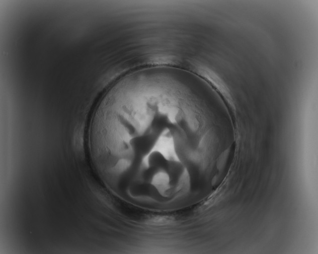 X0000088470155200705291555