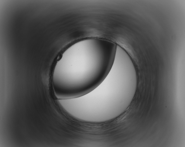 X0000088470156200705291555