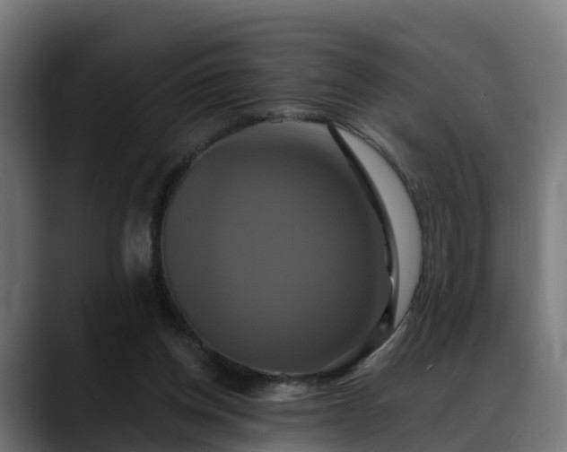 X0000088470158200705291555