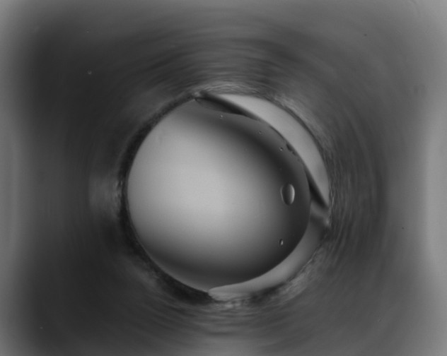 X0000088470160200705291555