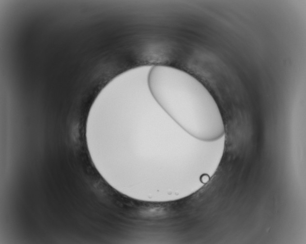 X0000088470162200705291555