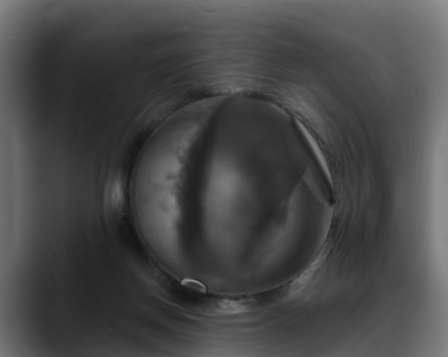 X0000088470166200705291555