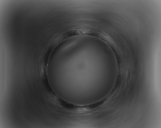 X0000088470169200705291555