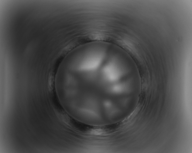 X0000088470171200705291555