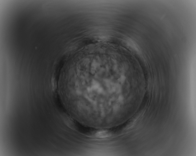 X0000088470173200705291555