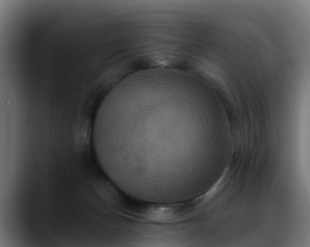 X0000088470174200705291555