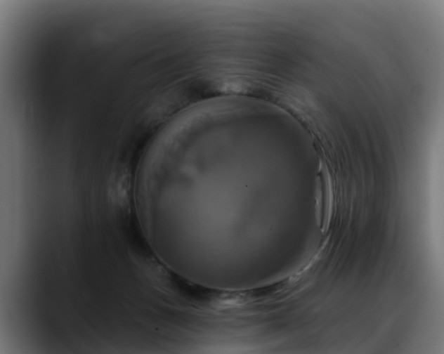 X0000088470175200705291555