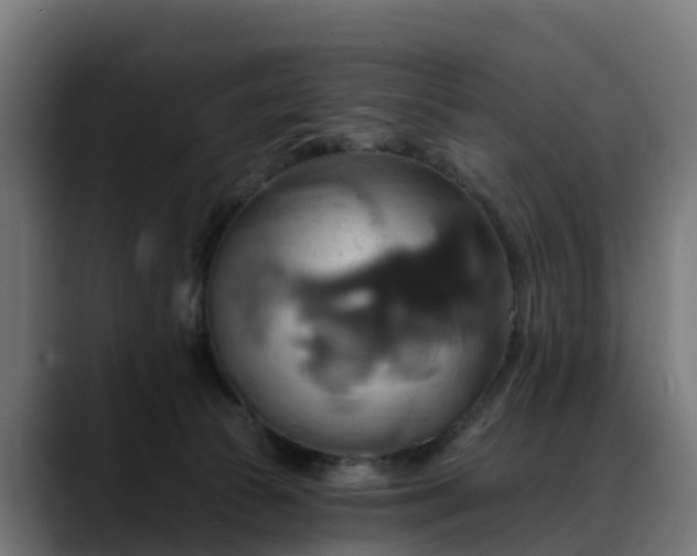 X0000088470177200705291555