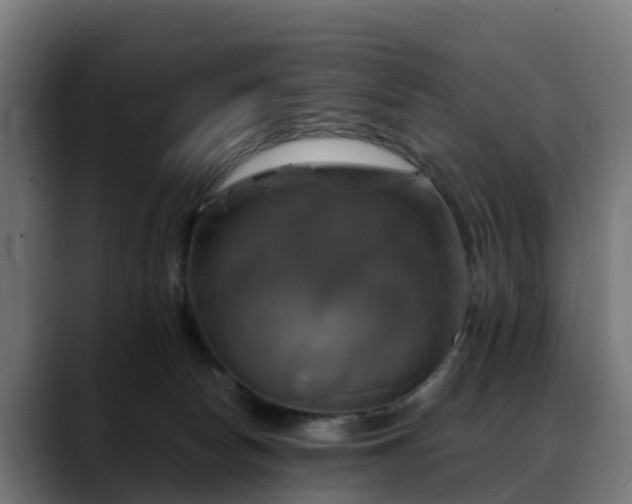 X0000088470178200705291555