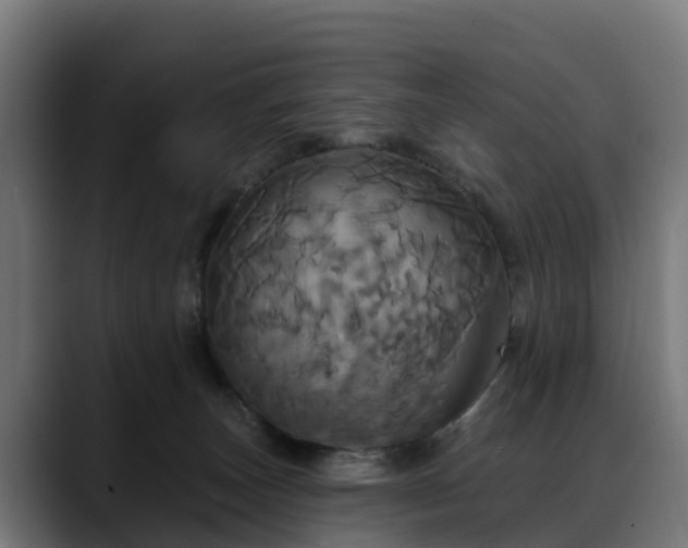 X0000088470179200705291555