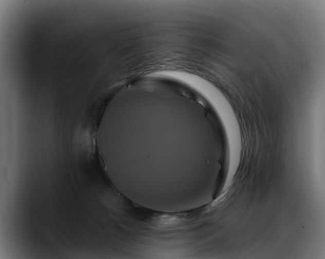 X0000088470180200705291555