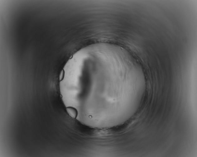 X0000088470181200705291555