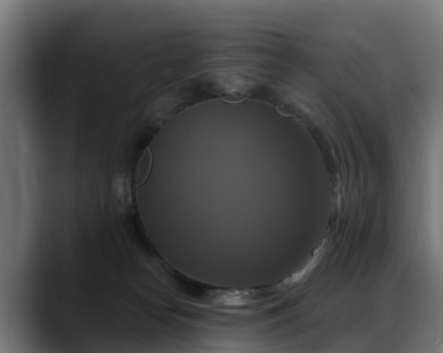 X0000088470182200705291555