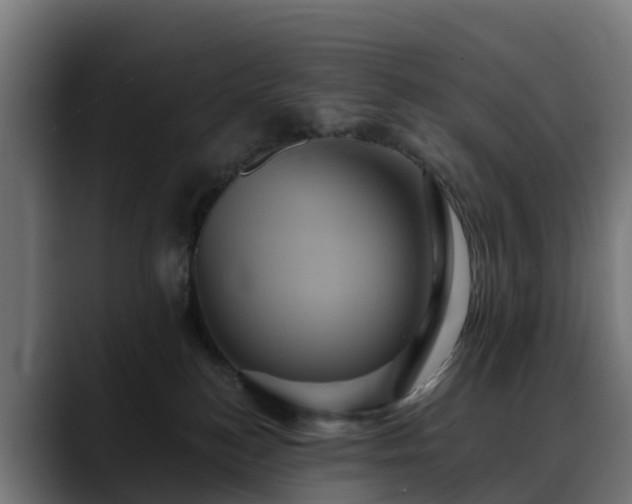 X0000088470184200705291555