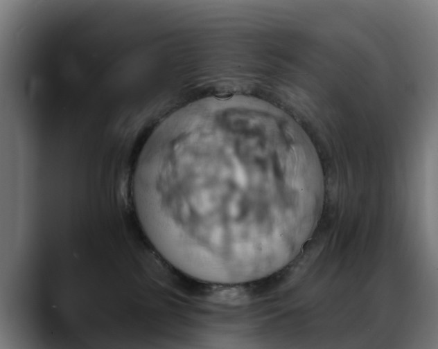 X0000088470185200705291555