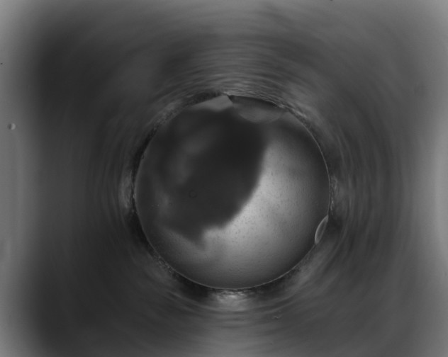 X0000088470189200705291555