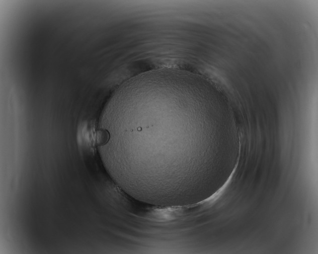 X0000088470190200705291555