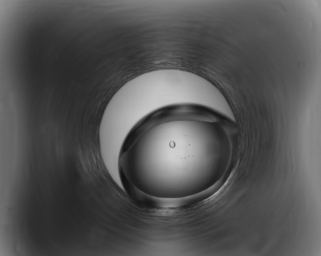 X0000088470192200705291555