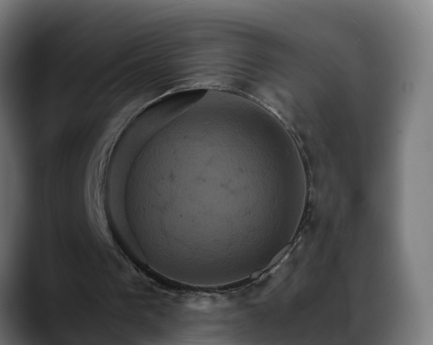 X0000088470193200705291555