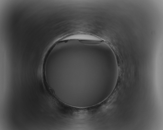 X0000088470196200705291555