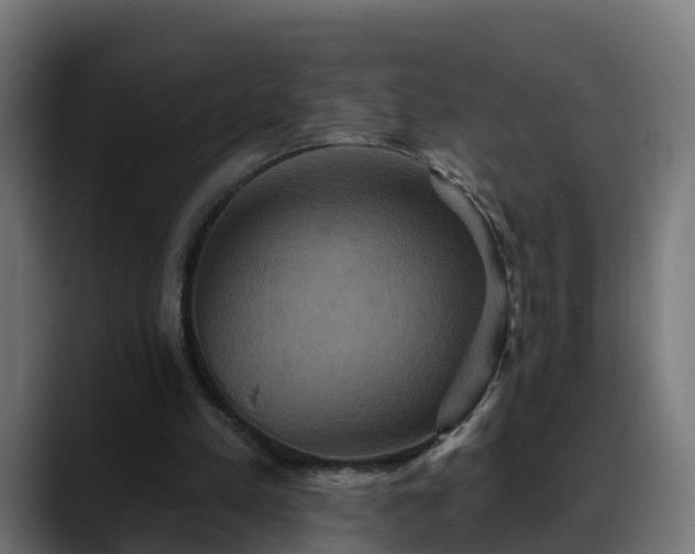 X0000088470197200705291555