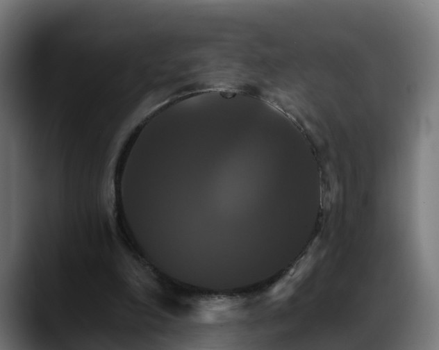 X0000088470198200705291555